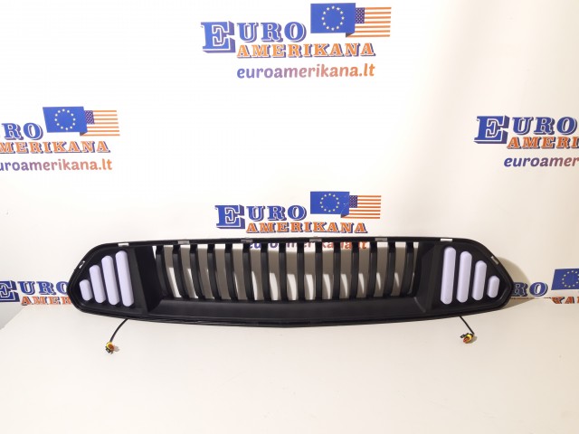 UPPER HOOD GRILLE  LED